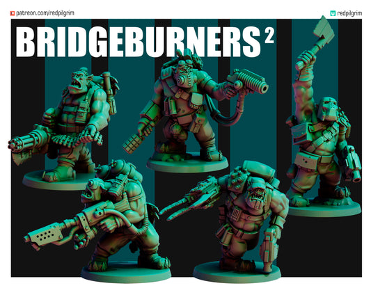 Bridgeburners 2 (5 Models)
