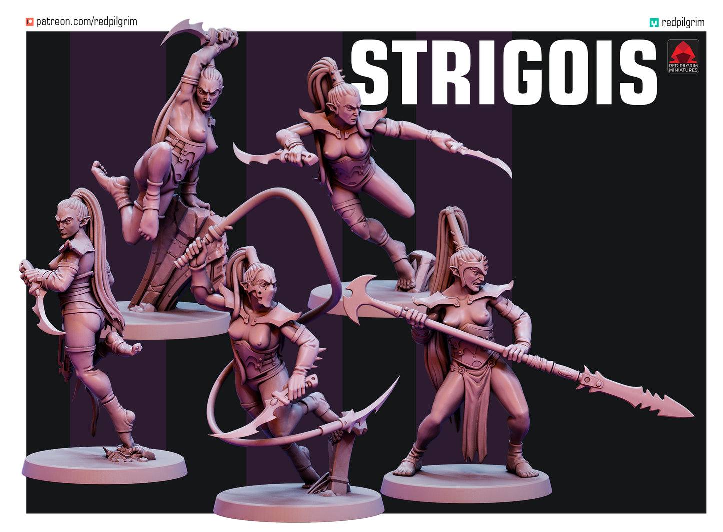 Strigois (5 Models)