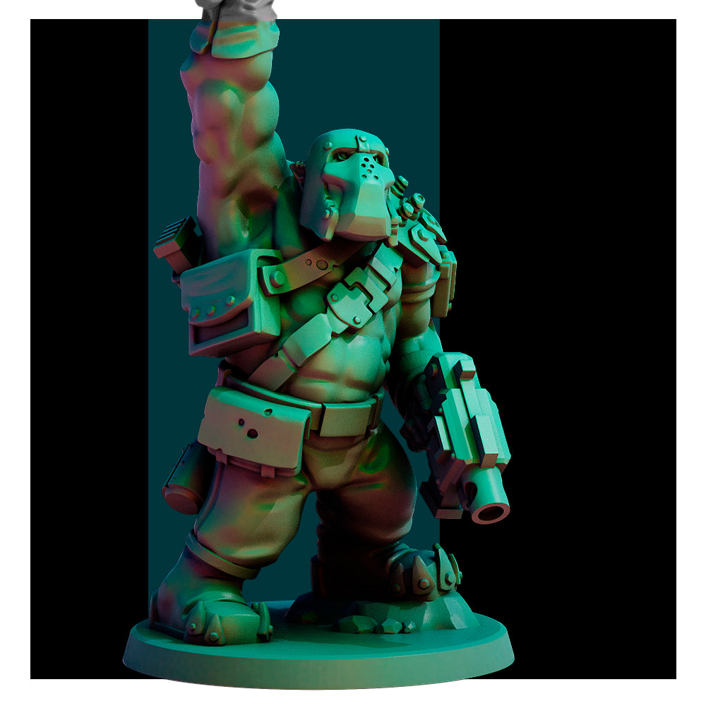 Bridgeburners 2 (5 Models)