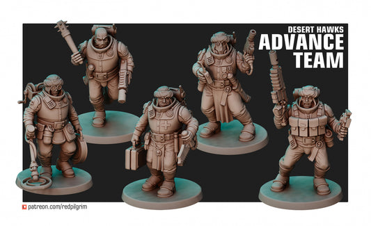 Desert Hawks Advance Team (Set of 5)