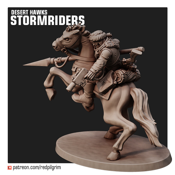 Desert Hawks Stormriders (Set of 3)