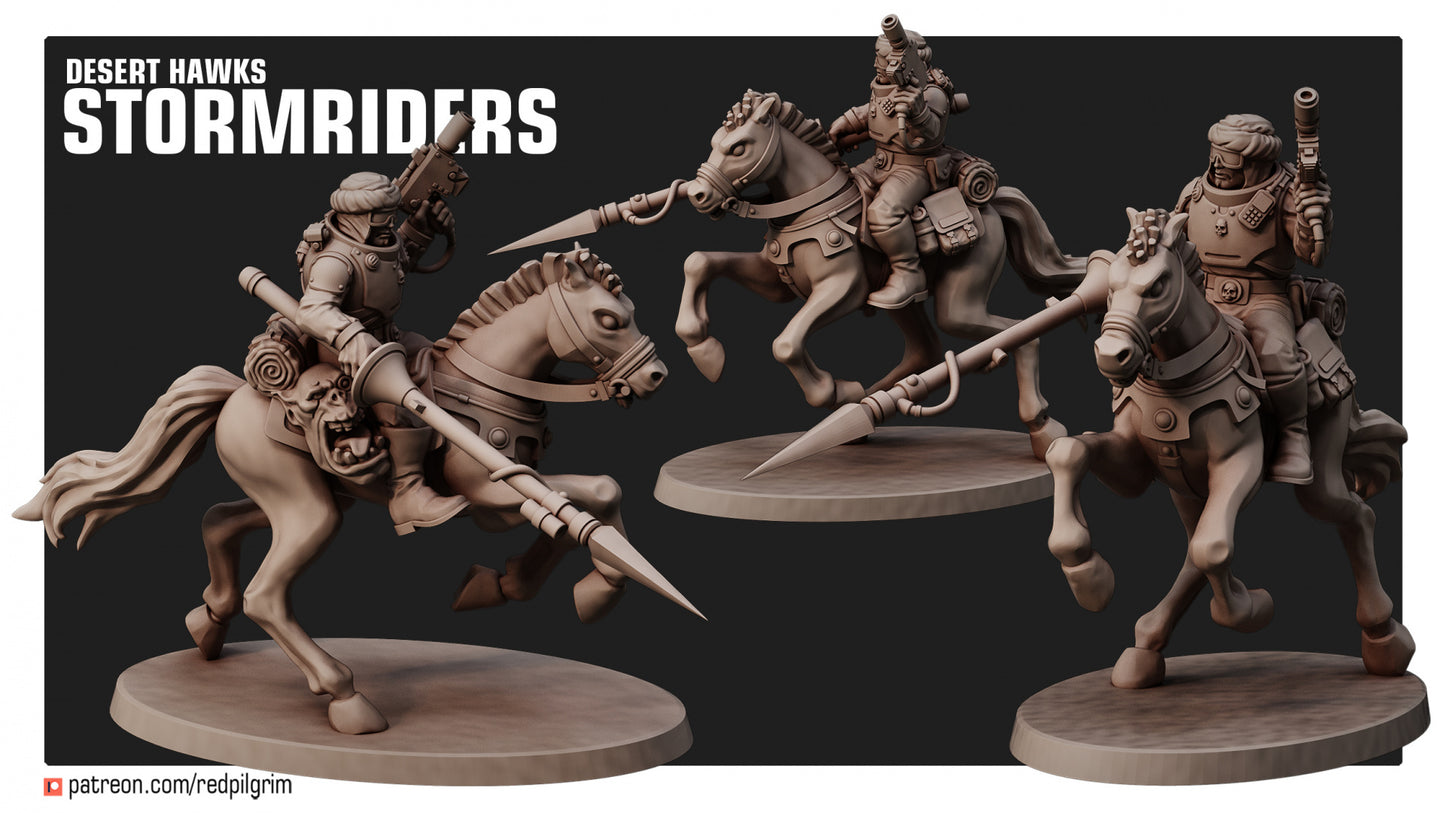 Desert Hawks Stormriders (Set of 3)