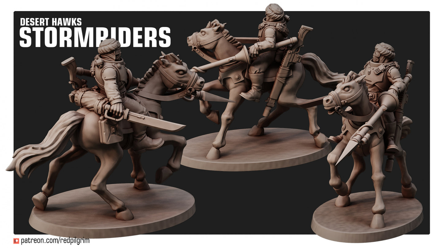 Desert Hawks Stormriders (Set of 3)